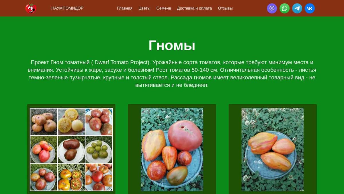 Где Купить Семена Томатов Серии Гном